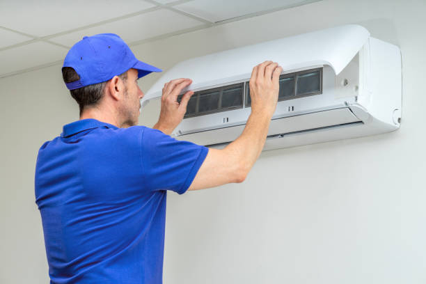 Air Duct Mold Removal in Pleak, TX